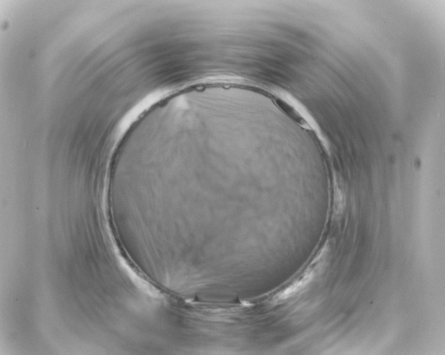 X0000087711245200705251750