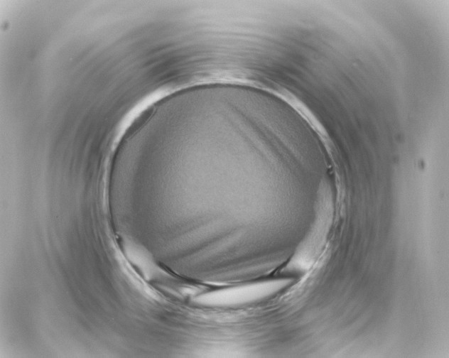X0000087711246200705251750