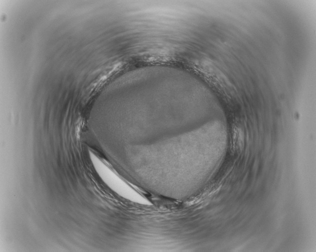 X0000087711250200705251750