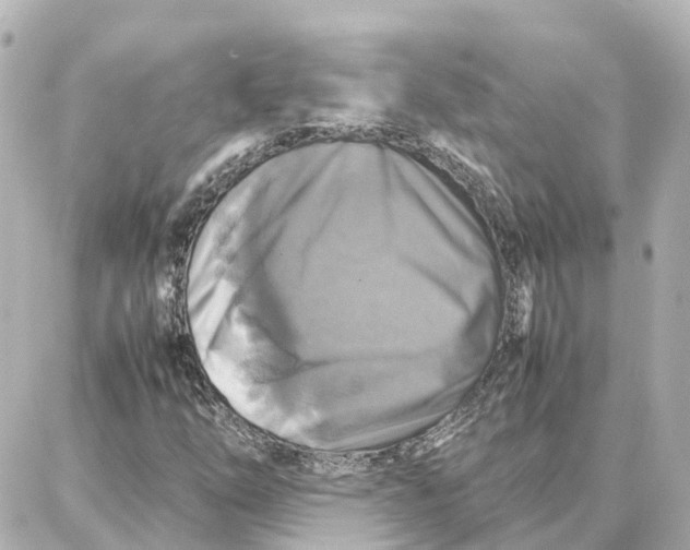 X0000087711254200705251750