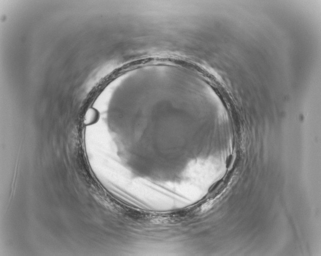 X0000087711263200705251749