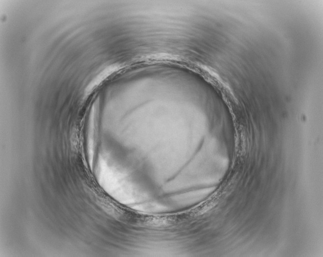 X0000087711266200705251749