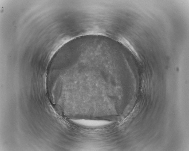 X0000087711268200705251749