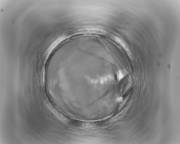 X0000087711275200705251749