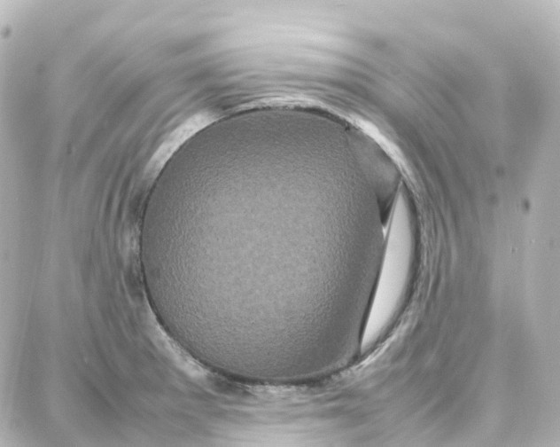 X0000087711281200705251749