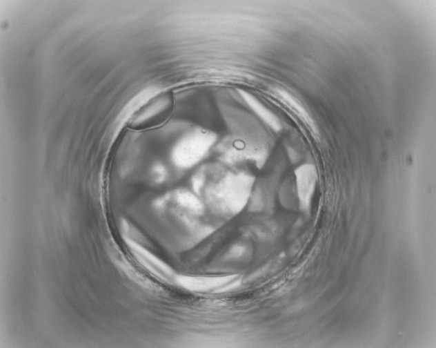 X0000087711283200705251749