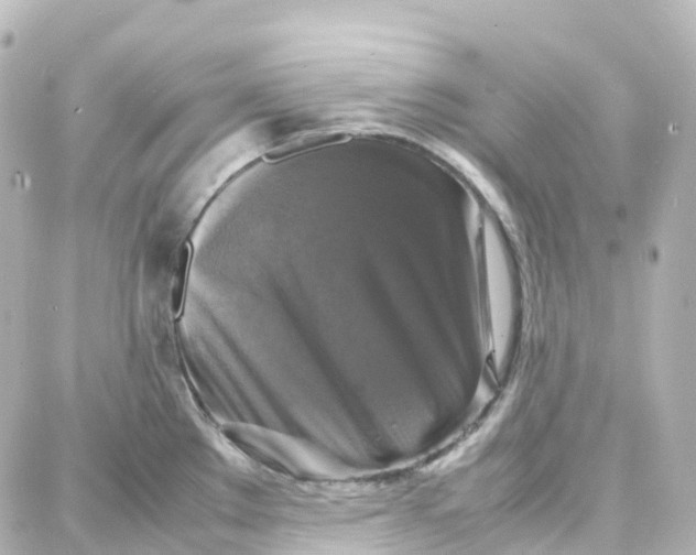 X0000087711289200705251749