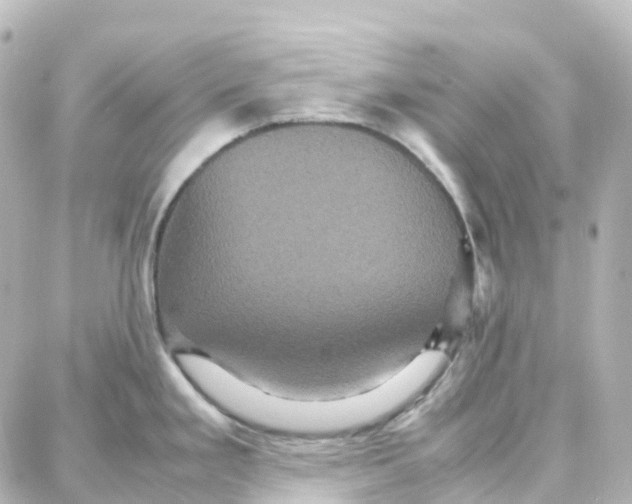X0000087711293200705251749