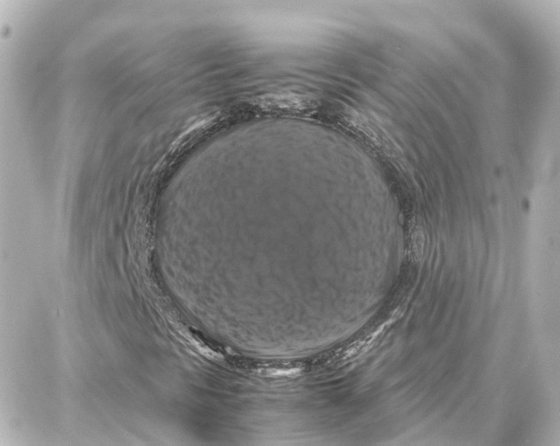 X0000087711297200705251748
