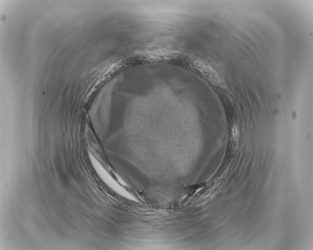 X0000087711300200705251748