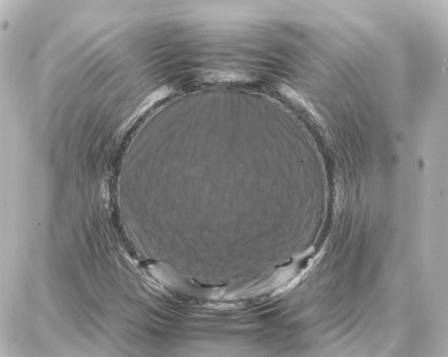 X0000087711305200705251748