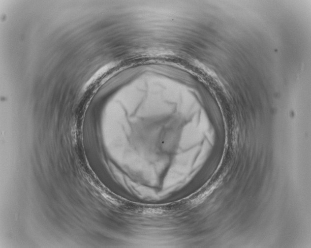X0000087711306200705251748