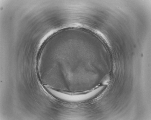 X0000087711326200705251749