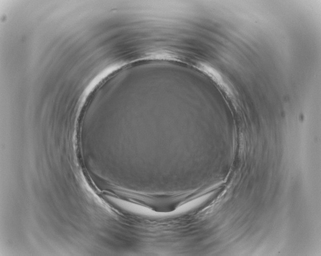 X0000087711331200705251749