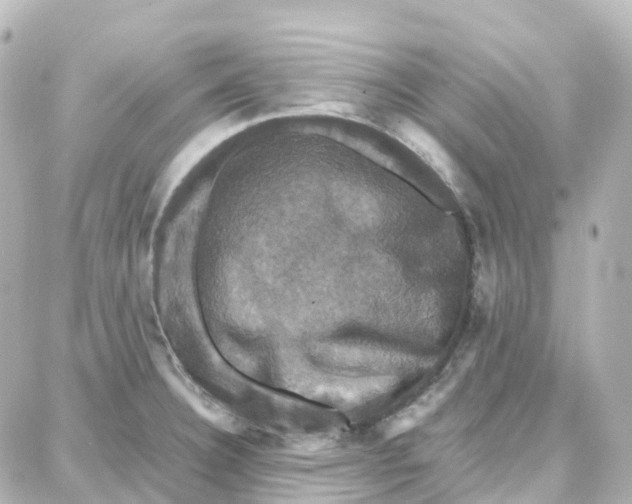 X0000087711332200705251749