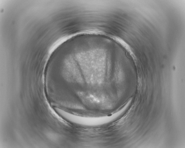 X0000087711335200705251749