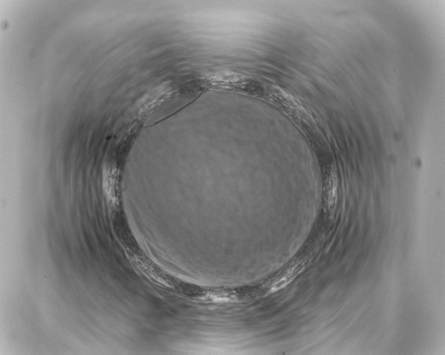 X0000087711346200705251748