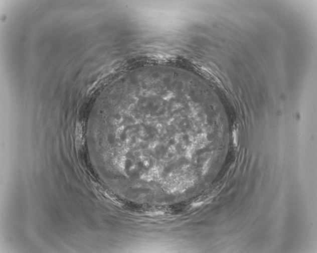X0000087711347200705251748