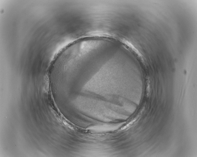 X0000087711358200705251748