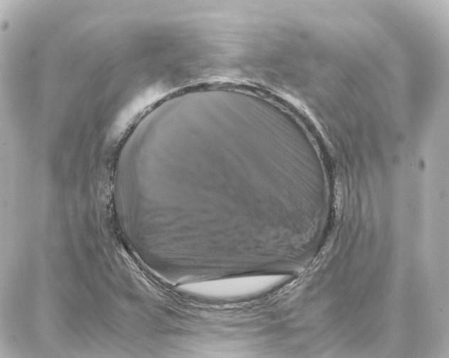 X0000087711359200705251748