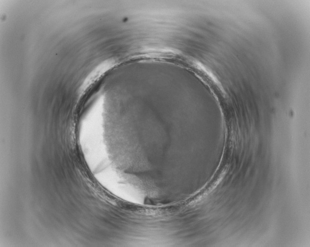 X0000087711362200705251748