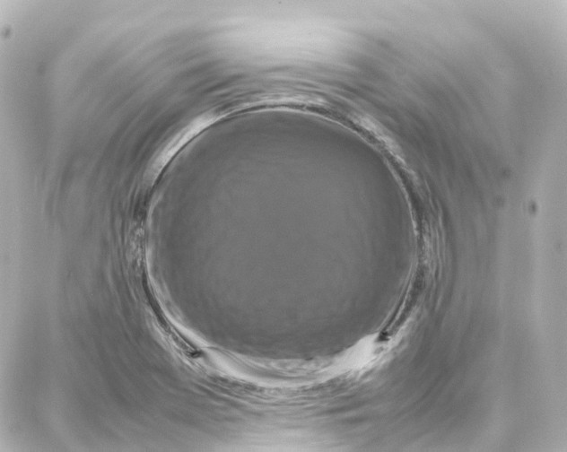 X0000087711369200705251748