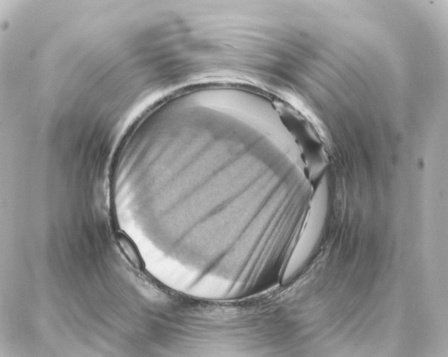 X0000087711372200705251748