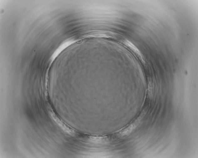 X0000087711378200705251748