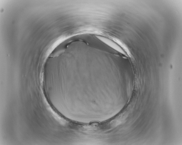 X0000087711383200705251747