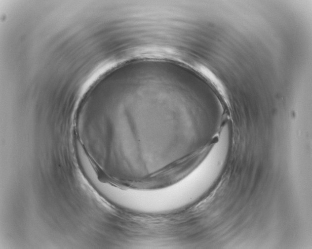 X0000087711384200705251747