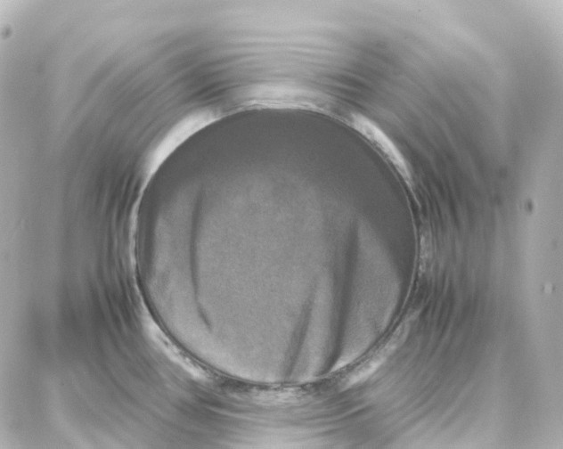 X0000087711386200705251747