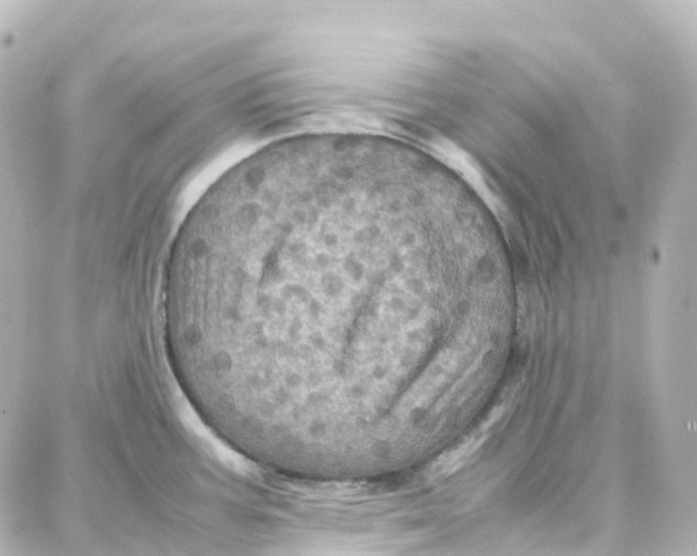 X0000087711387200705251747