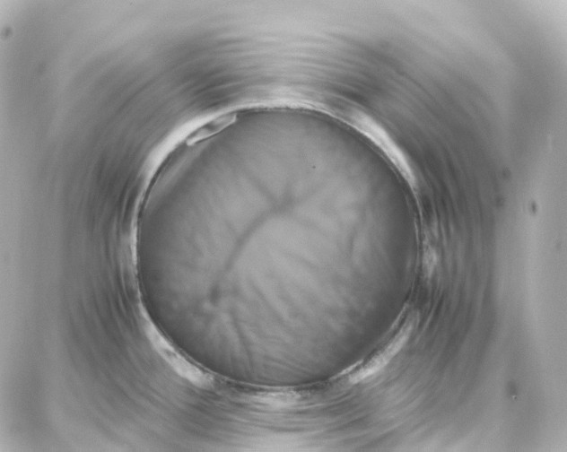 X0000087711388200705251747