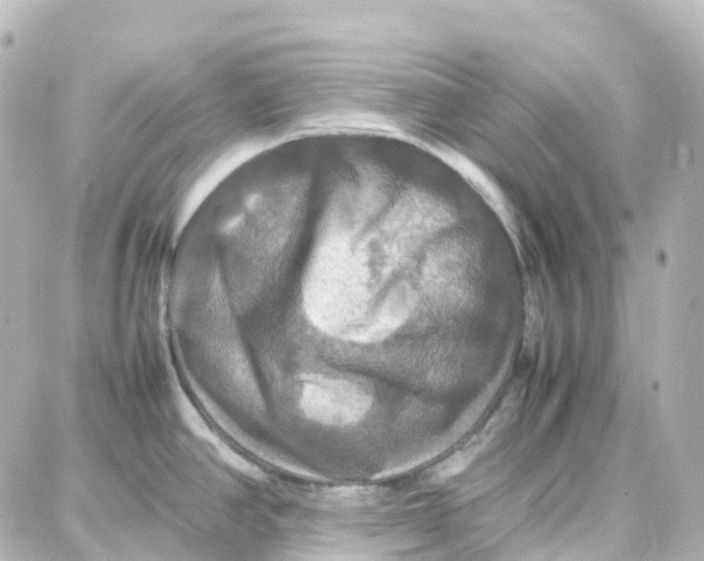 X0000087711390200705251747
