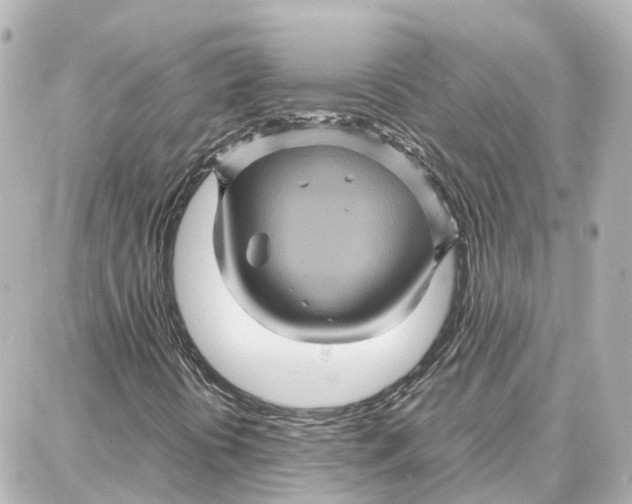 X0000087711394200705251747