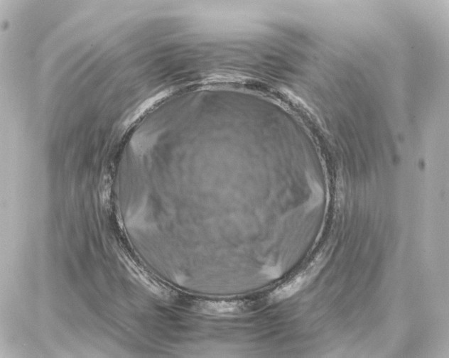 X0000087711401200705251747