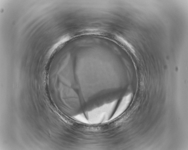 X0000087711411200705251747