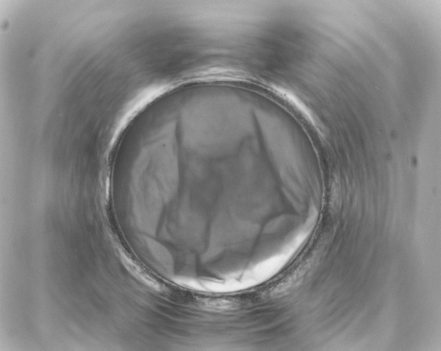 X0000087711413200705251747