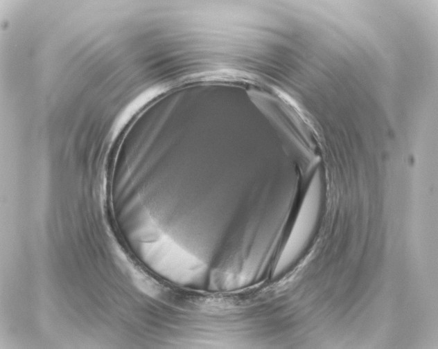 X0000087711418200705251747