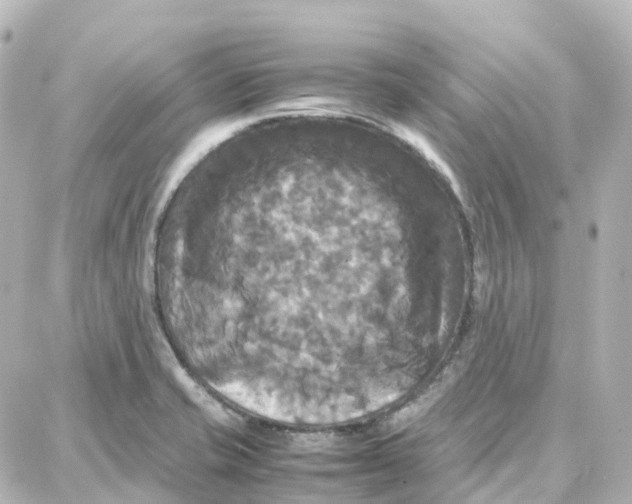 X0000087711421200705251747