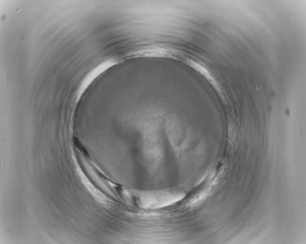 X0000087711426200705251747