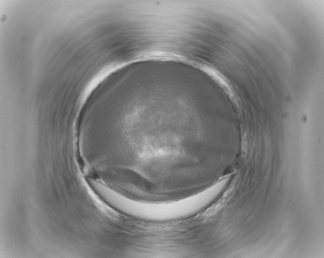 X0000087711430200705251747