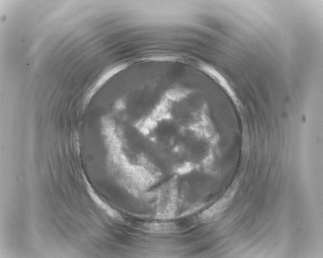 X0000087711433200705251747