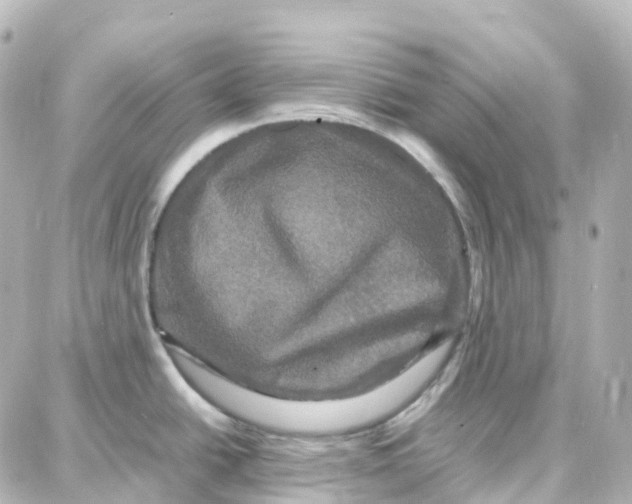 X0000087711438200705251747