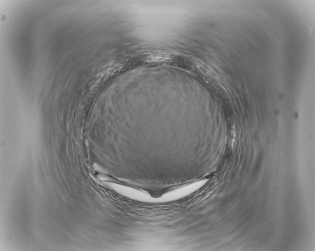 X0000087711441200705251747