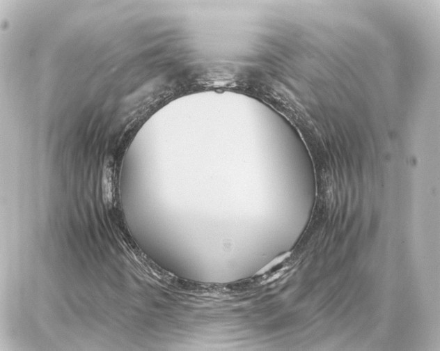 X0000087711442200705251747