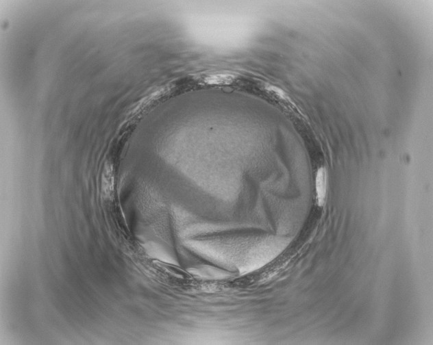 X0000087711443200705251747