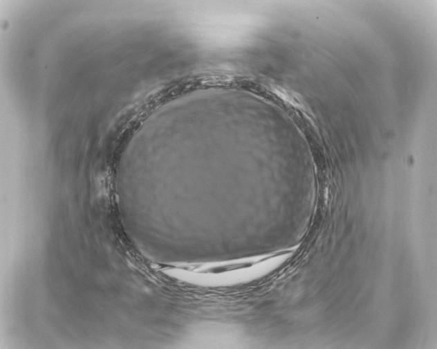 X0000087711445200705251746