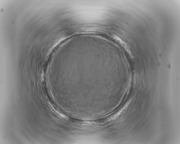 X0000087711449200705251746