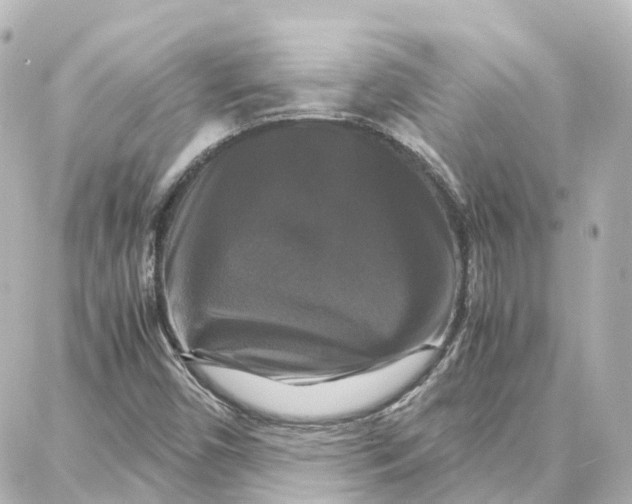 X0000087711450200705251746